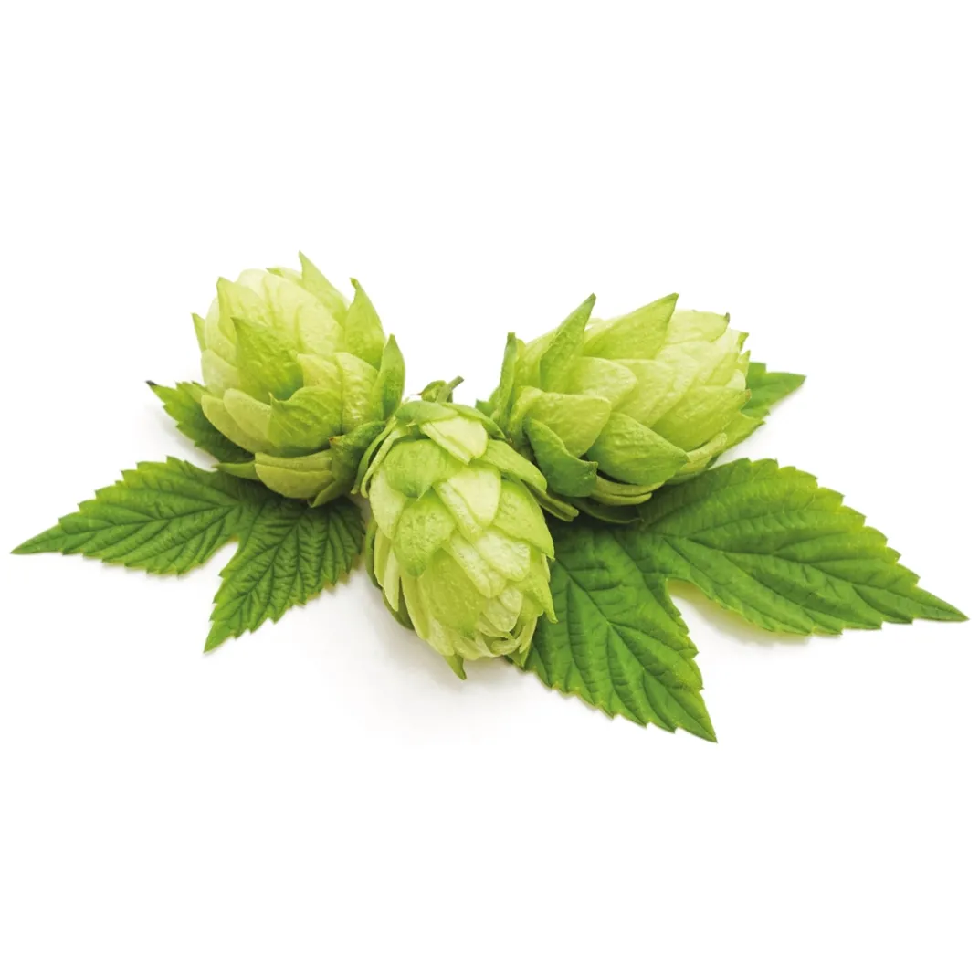 Accessoires Animaux-Tempsl Pâte orale Vermi'délice chat/chien