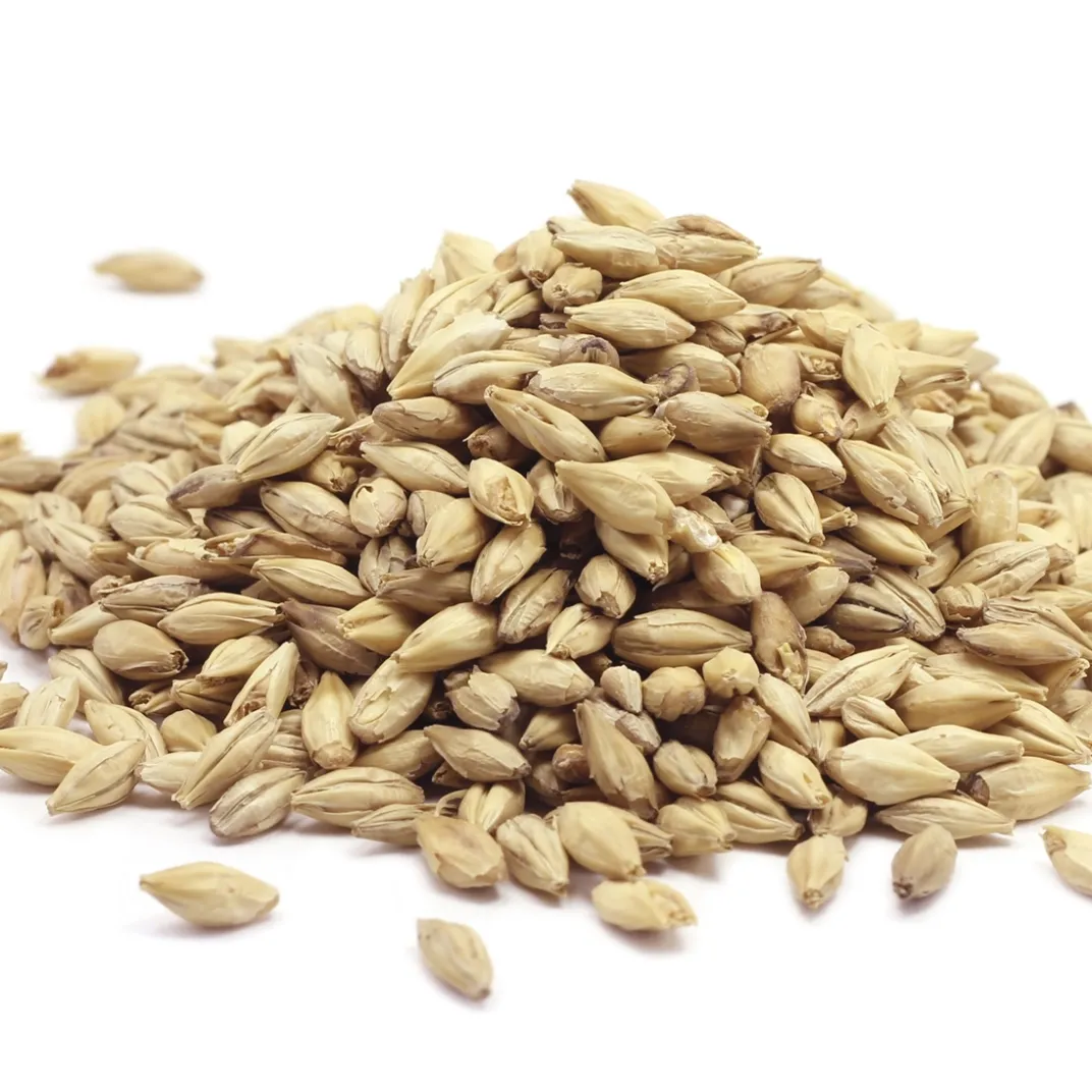 Accessoires Animaux-Tempsl Pâte orale Vermi'délice chat/chien