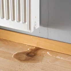 Matériels De Nettoyage|Accessoires Bricolage Et Astuces-Tempsl Purgeur de Radiateur