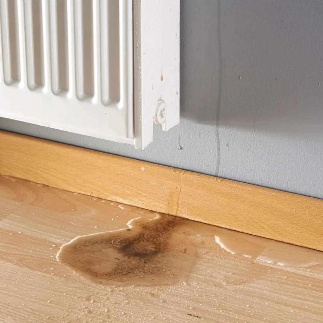 Matériels De Nettoyage|Accessoires Bricolage Et Astuces-Tempsl Purgeur de Radiateur