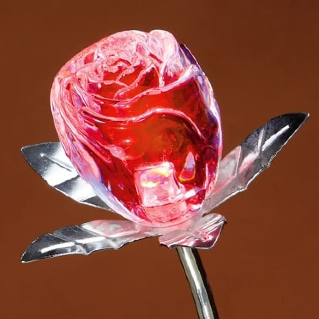 Décorations-Tempsl Rose changement de couleur