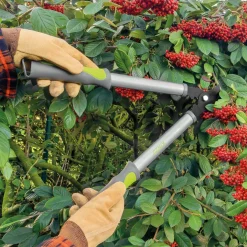 Accessoires Et Outils Jardin-Tempsl Sécateur