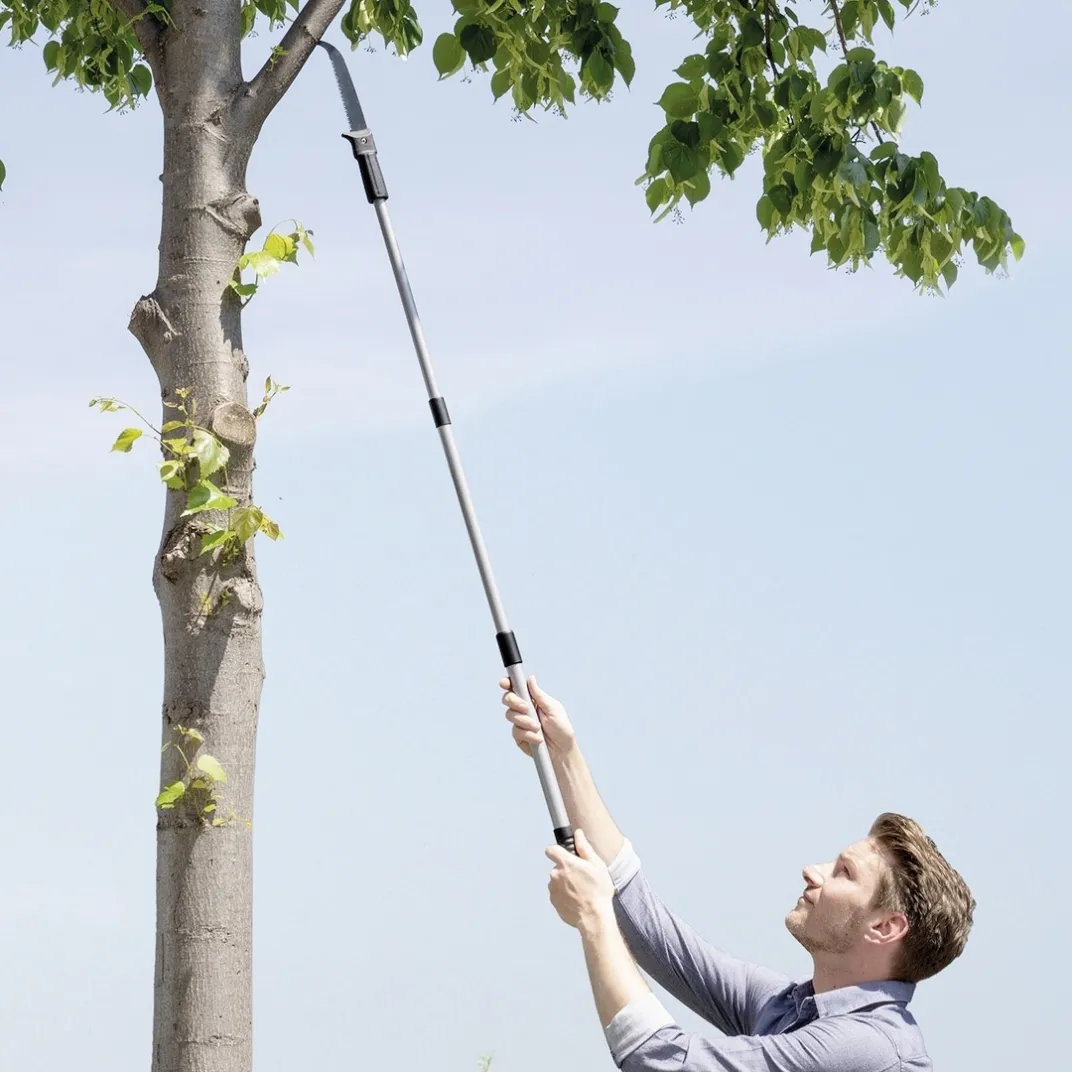 Accessoires Et Outils Jardin-Tempsl Scie à élaguer avec manche télescopique