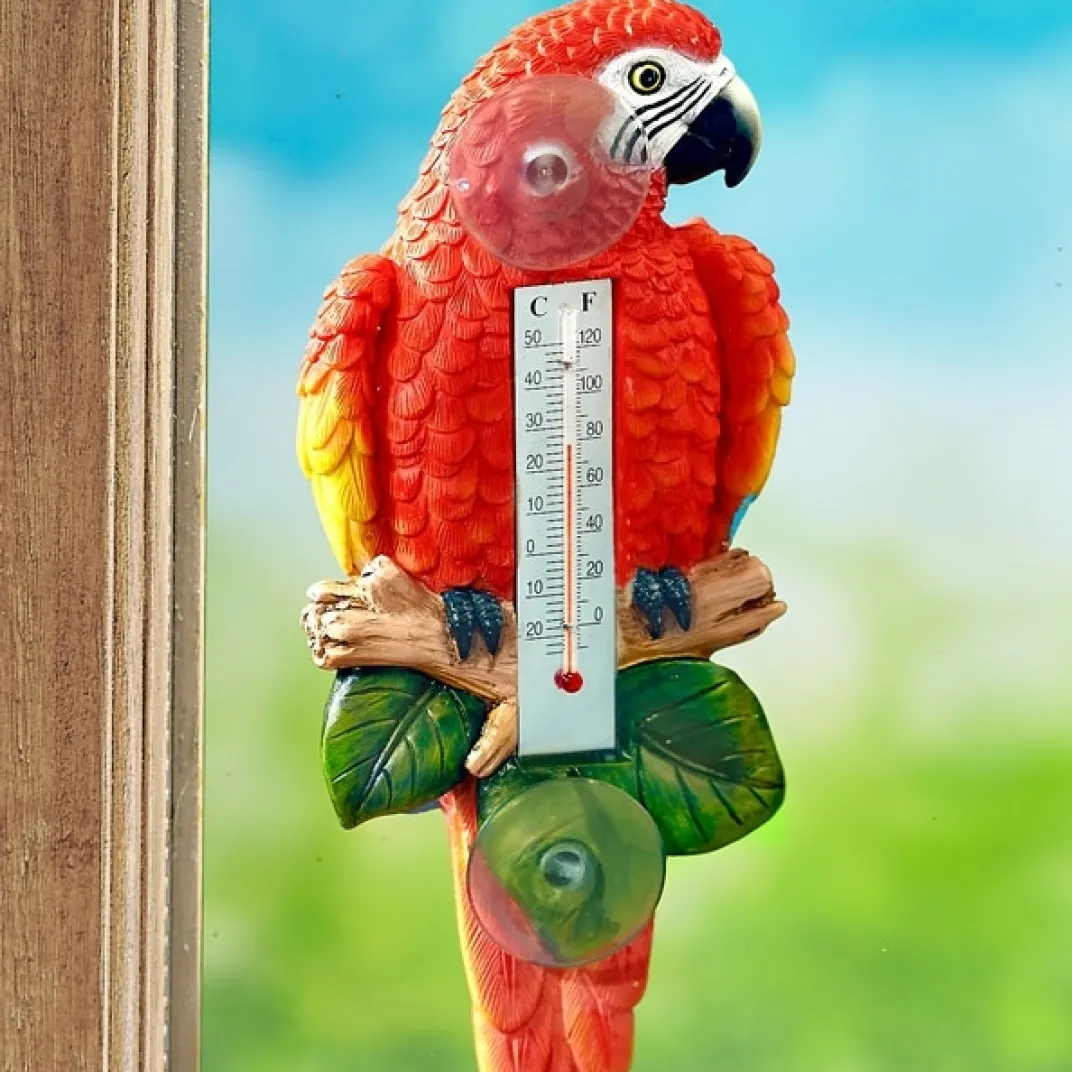 Décorations-Tempsl Thermomètre perroquet